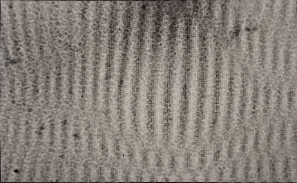 Grey toned circular inclusions and vacuoles in the 80:20 Laropal A81: Polaroid B-72 blend. The inclusions/vacuoles are of varying sizes and densities, with some darker areas around the edges of the image.