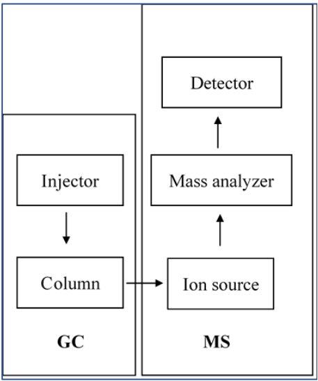 Diagram of sample interaction with the components of GCMS; sample carried from the injector to the column (GC) then to the ion source, mass analyzer, and detector (MS).