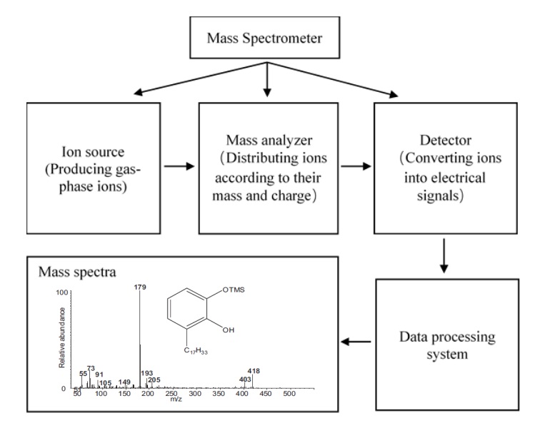 Diagram illustrating the working mechanism of mass spectrometry described in the paragraph above.