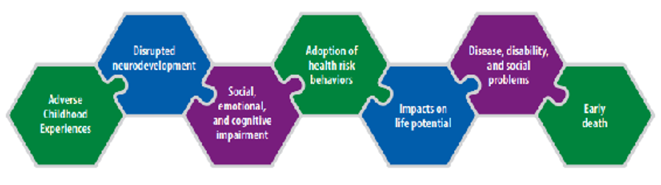 The potential effects on adverse childhood experiences shown on puzzle pieces.