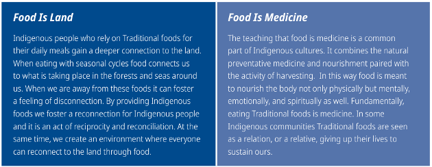 Descriptors of Indigenous food as land and as medicine.
