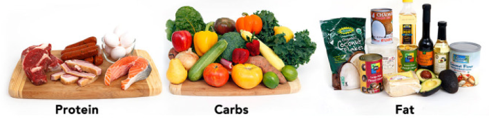 Pictures of different foods that make up protein, carbs, and fat.