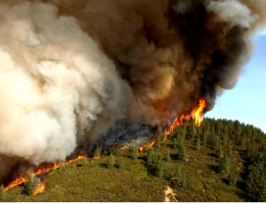 A large wildfire on a hill with a lot of dark smoke overtop.