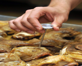 A hand puts a meat thermometer into a piece of chicken.