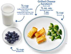 A sample lunch showing grilled cheese, brocolli, blueberries, and a glass of milk.
