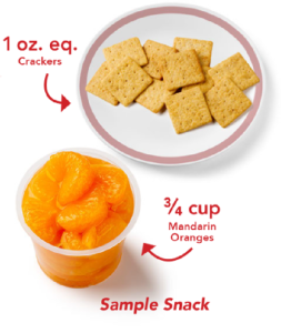 A sample snack showing crackers and mandarin oranges.