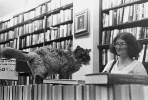 A black and white image of the interior of a book store. The background is lined with a variety of books, seperated by a central column on which hangs a framed painting. A white woman wearing glasses with short dark hair smiles at a fluffy dark coloured cat who is standing on a row of shelved books in the foreground.