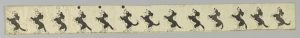 A long narrow zoetrope strip of a black and white cartoon dog catching a ball. The dog is perched on its hind legs as it leaps and plays with the ball. Each image of this dog is a slight variation from the one that came before it, allowing for the illusion of motion to take place when viewed in a zoetrope machine.