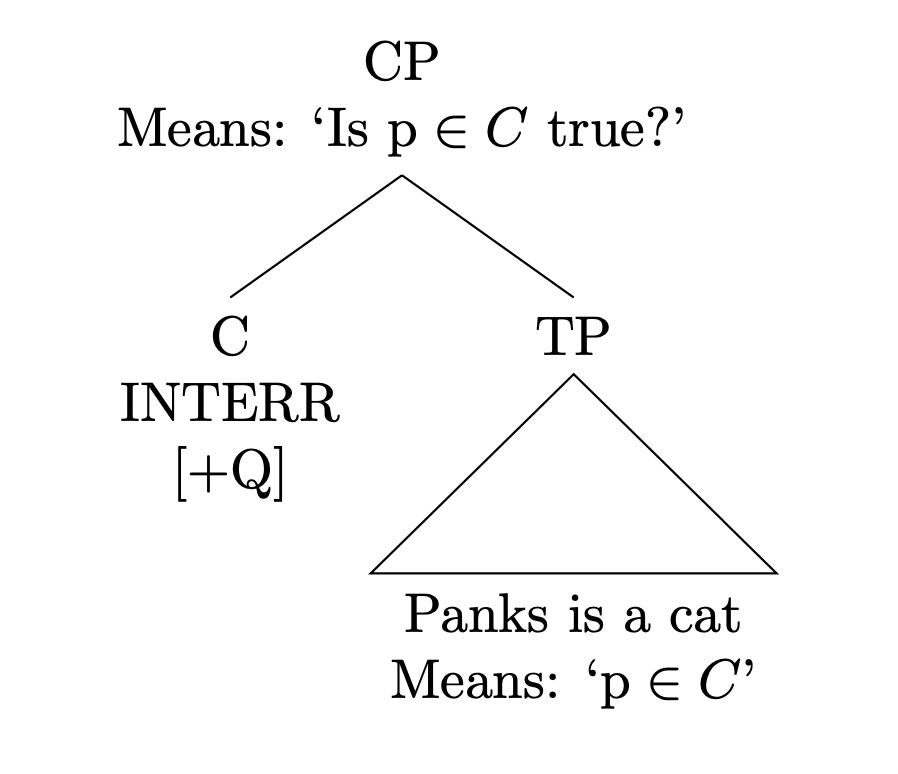 Tree diagram for [INTERR [Panks is a cat]]