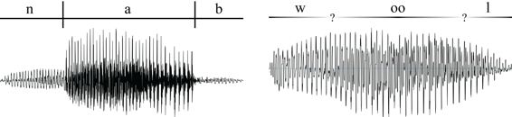 Deux formes d’onde : à gauche, la forme d’onde du mot « nab » est segmentée en trois régions distinctes, identifiées n, a et b; à droite, la forme d’onde du mot « wool » ne présente pas de segmentation claire entre w, oo et l.