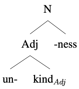 Schéma en arbre : unkind-ness [N [Adj un + kind(Adj)] -ness]