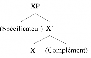 Schéma de X-barre pour l’anglais : [ SX [ (spécificateur) ] [ X’ [ X ] [ (complément) ] ] ]