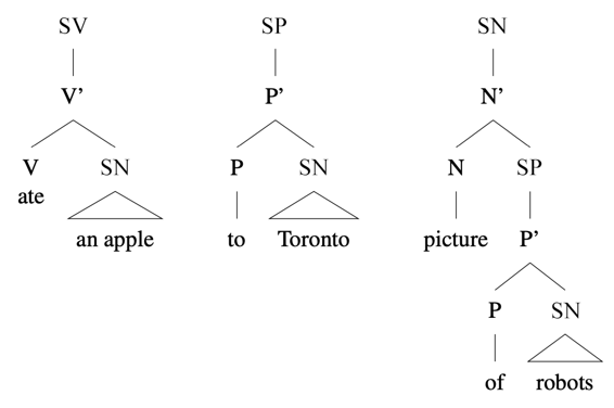 Arbres syntaxiques : [SV ate [SN an apple] ], [SP of [SN Toronto]], [SN picture [SP of robots]]