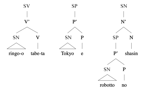 Arbres syntaxiques : [SV [SN ringo-o] tabeta], [SP [SN Tokyo] e], [SN [SP robotto-no] shasin]