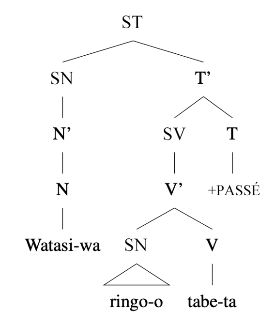 Arbre syntaxique : [ST [SN Watasi-wa] [SV [SN ringo-o] tabe-ta ] +PASSÉ ]
