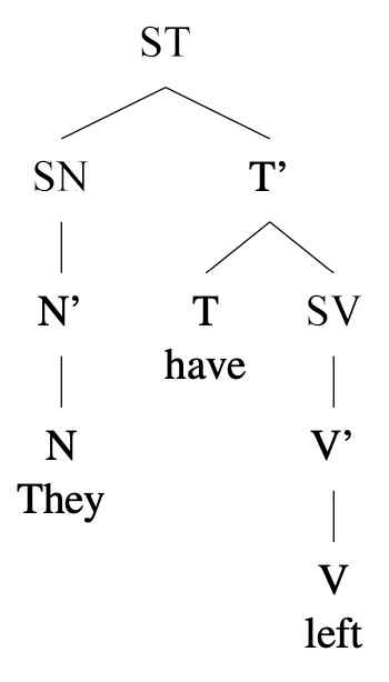 Arbre syntaxique : [ST [SN They] [T have] [SV left]]