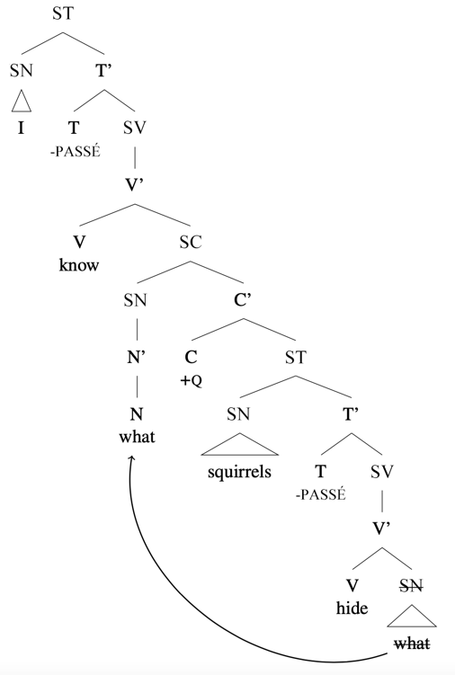 Arbre syntaxique : [ST [ SN I ] [T’ [T -PASSÉ] [SV [V’ [V know] [SC [SN [N’ [N what] ] ] [C’ [C +Q] [ST [ SN squirrels] [T’ [T -PASSÉ] [SV [V’ [V hide] [crossed out SN nuts] ] ] ] ] ] ] ] ] ] ], flèche de « what » inférieur au « what » enchâssé dans Spec, SC