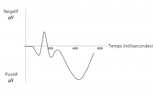 Exemple de diagramme d’une onde de potentiels liés à l’événement. À partir de l’apparition du stimulus, le potentiel électrique moyen à une électrode donnée se déroule en une série de crêtes et de creux sur une période de plusieurs centaines de millisecondes.