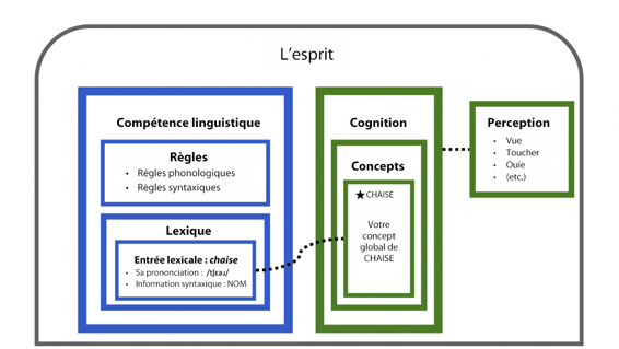 Architecture de l’esprit représentée sous forme de diagramme à boîtes. Le lexique ne contient pas le sens lexical de _chaise_, il est plutôt lié à l’ensemble du concept de _chaise_.