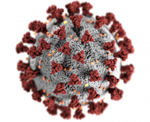 SARS-CoV-2 virus shown in high resolution, a spherical virus with protuberances that on its surface.