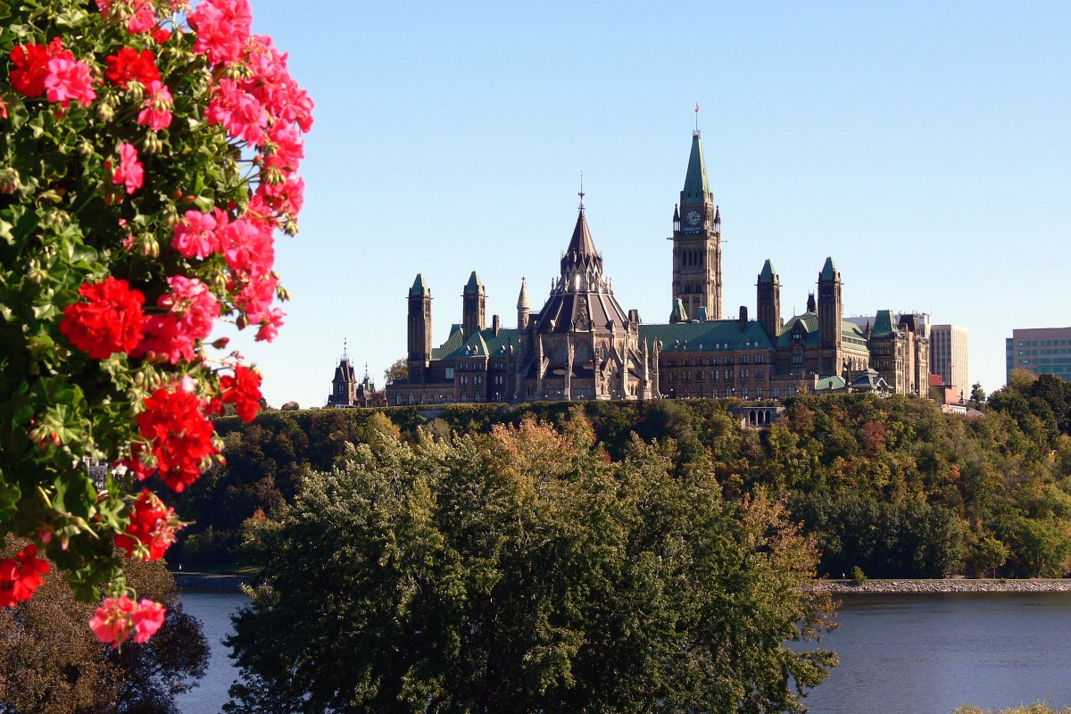 Photo of the Canadian Parliament Buildings in Ottawa taken from Hull, PQ on the opposite shore of the Ottawa River. There are blooming geranium flowers in the left foreground.