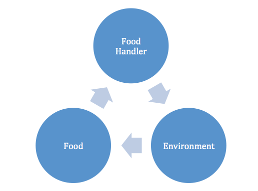 Cycle of Bacterial transmission Food handler to Environment to Food to Food Handler