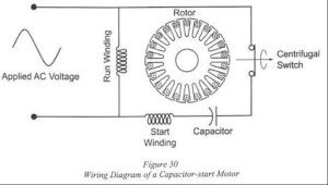 Wiring diagram of a capacitor-start motor that highlights applied AC voltage, run winding, start winding, rotor, capacitor, and centrifugal switch