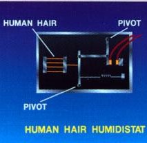 Humidity Control (Human Hair Humidstat)