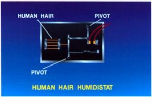 Human Hair Humidistat diagram highlighting human hair, and 2 pivots.