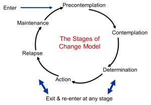 Stages: Precontemplation, contemplation, determination, action, relapse, maintenance. Entrance at precontemplation, determination, action, relapse.