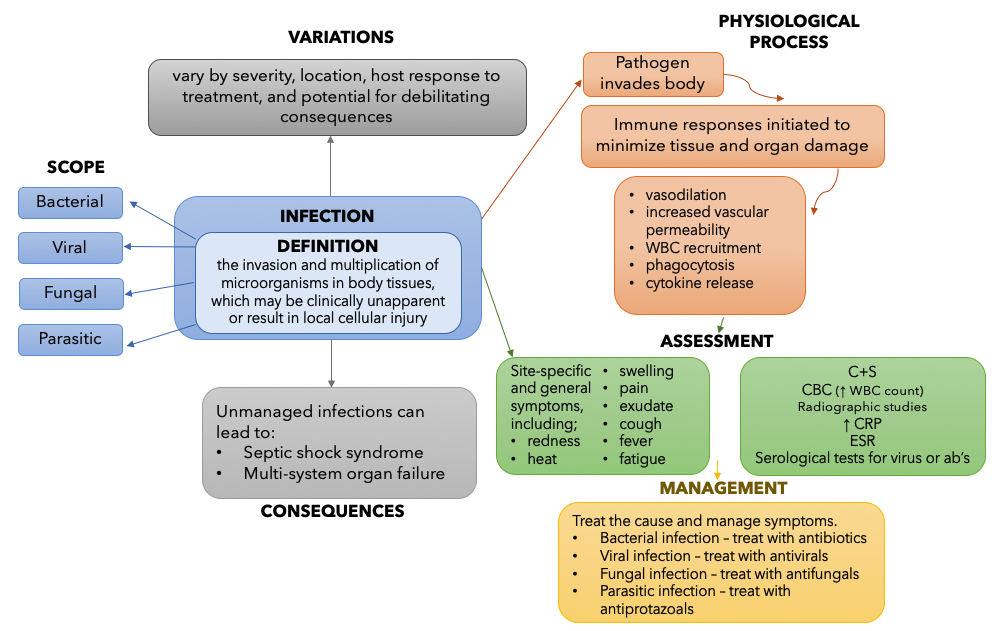 concept map for infection