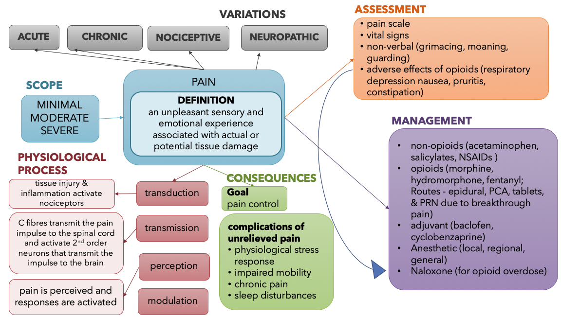 this is a concept map for pain