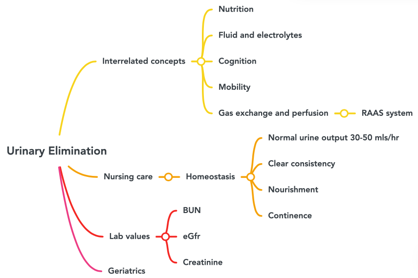 This concept map shows the connection between inter-related concepts.