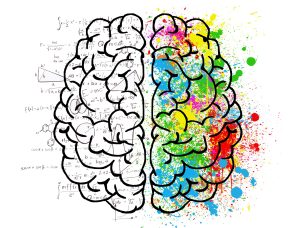 Illustration showing psychological division of the cerebral brain hemispheres, with the left side filled with math, right side filled with colours