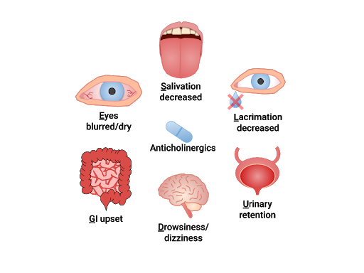 Showing the effects of Anticholinergics on organs.