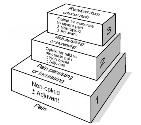 The World Health Organization's Pain Ladder. Full image description linked in caption.