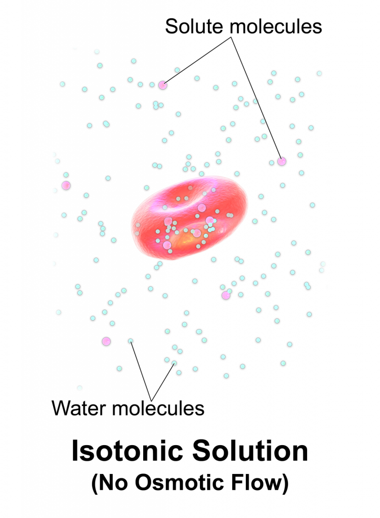 Image showing Lack of Fluid Movement When Isotonic IV Solution Is Administered