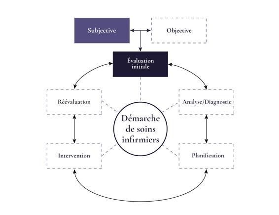 Met en évidence la place de l’évaluation complète de l’état de santé subjectif dans la démarche de soins infirmiers. La démarche de soins infirmiers comprend l’évaluation initiale, l’analyse ou le diagnostic, la planification, l’intervention et la réévaluation.