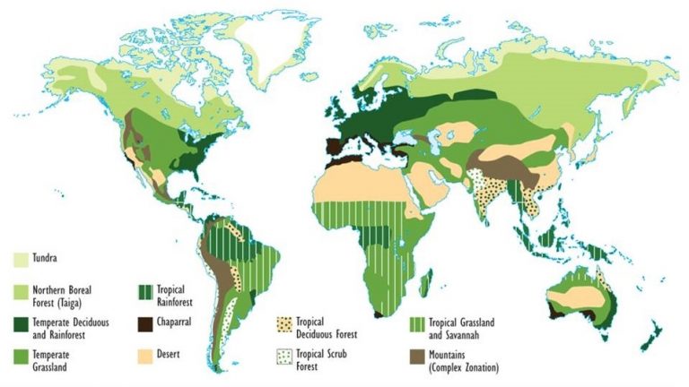 Chapter 8 ~ Biomes and Ecozones – Environmental Science