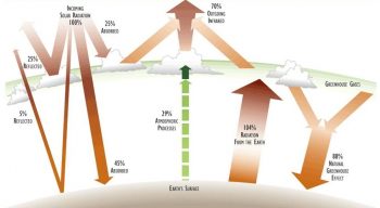 Chapter 4 ~ Energy and Ecosystems – Environmental Science