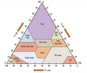 Chapter 5 ~ Flows and Cycles of Nutrients – Environmental Science