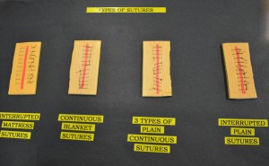 Types of sutures