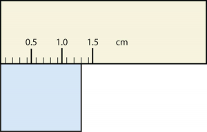 A ruler with a mark showing 1.3 cm.