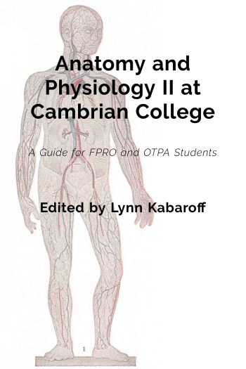 Cover image for Anatomy and Physiology II at Cambrian College
