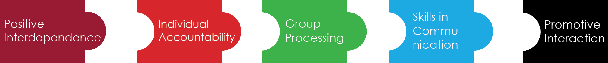 Positive interdependence, individual accountability, group processing, skills in communication, promotive interaction