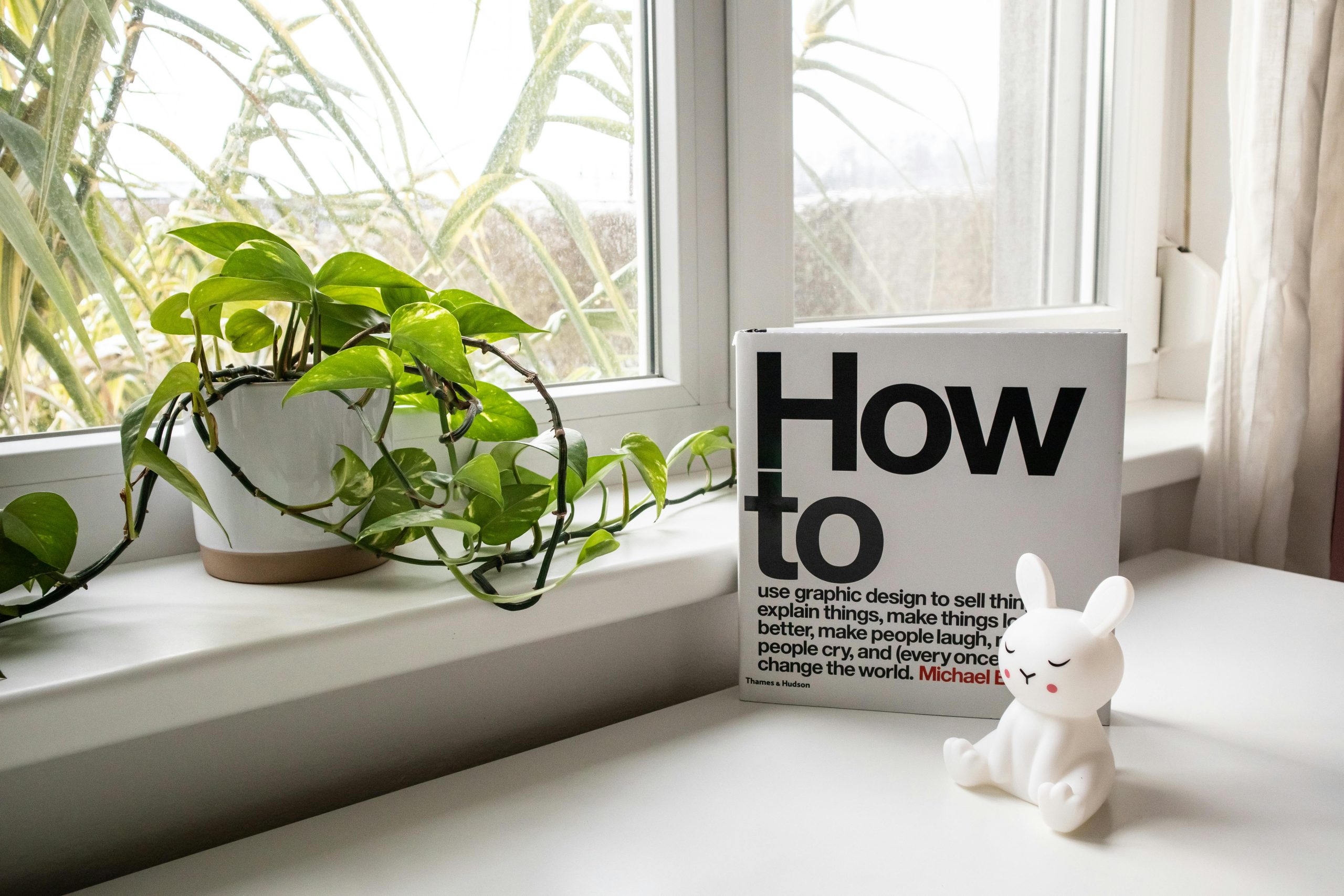 Book titled "How to" by the window with a plant