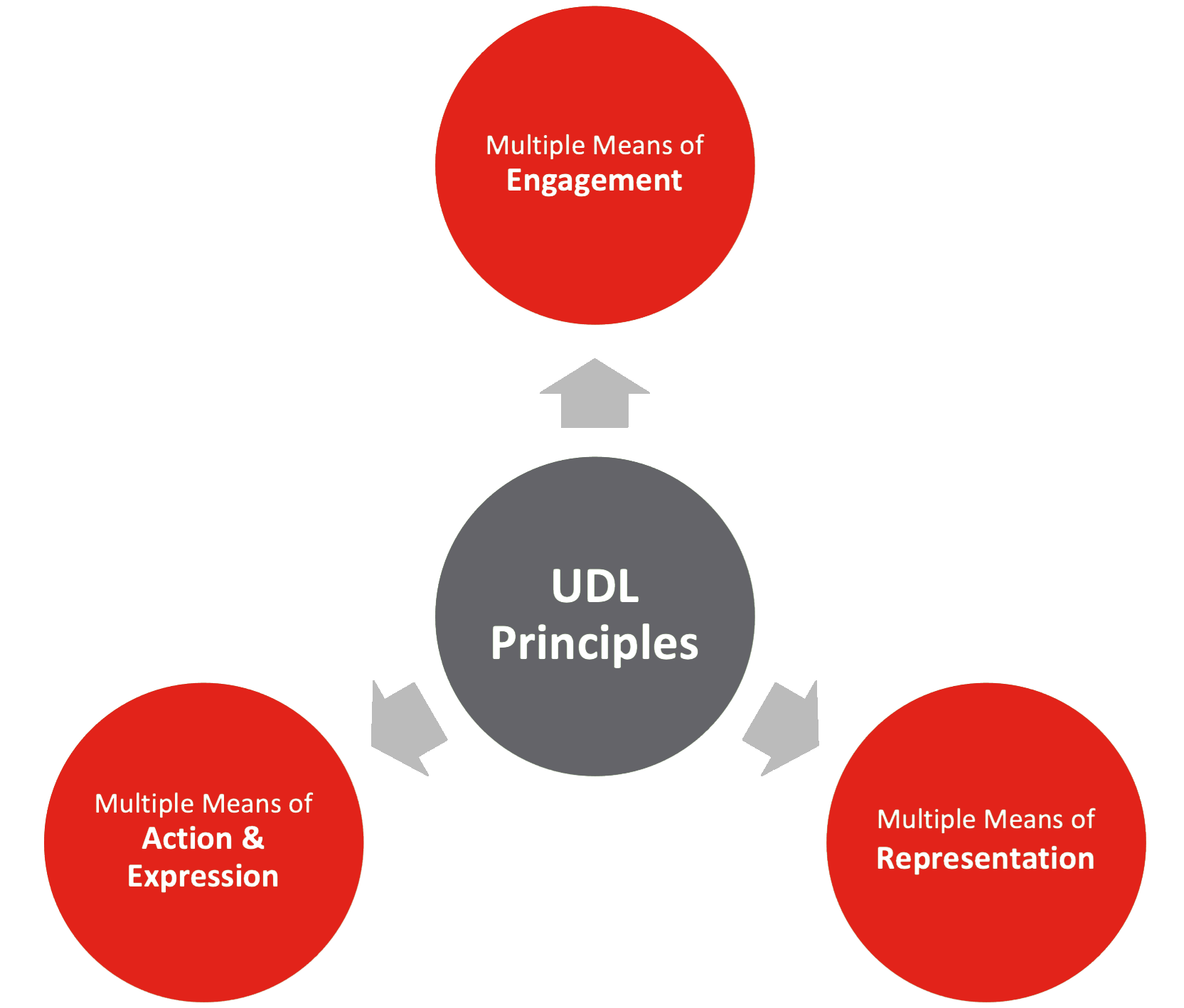 UDL Principles: Multiple means of Engagement, Action & Expressions, and Representation
