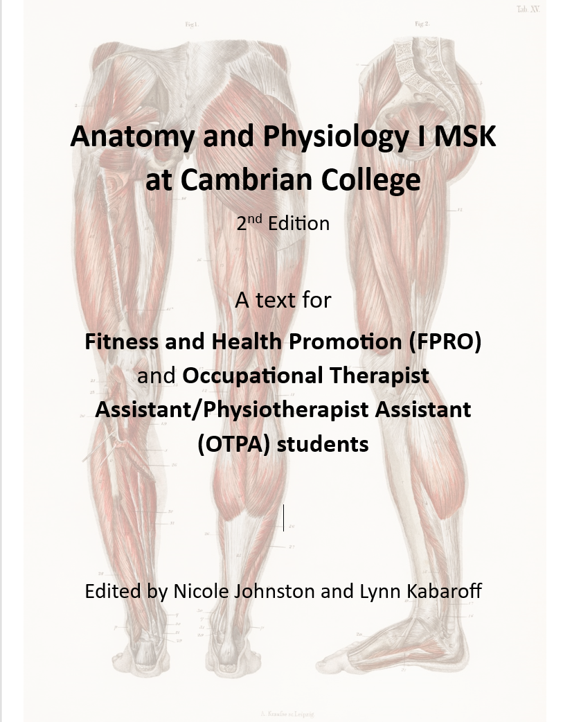Cover image for Anatomy and Physiology I MSK at Cambrian College