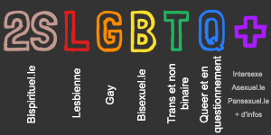 Image montrant l’acronyme 2ELGBTQ+ et les mots associés à chaque lettre (décrits dans le glossaire)