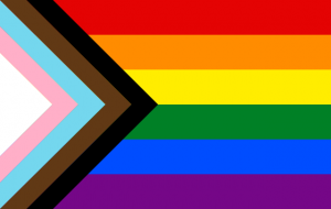 Drapeau de la fierté arc-en-ciel rouge, orange, jaune, vert, bleu et violet avec un chevron supplémentaire le long du guindant qui comporte des rayures noires, brunes, bleu clair, roses et blanches.